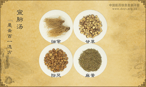 宣肺汤