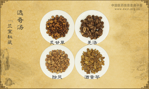 选奇汤
