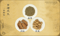 骨槽风丸