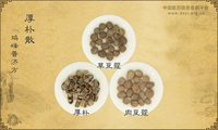 厚朴散《鸡峰普济方》