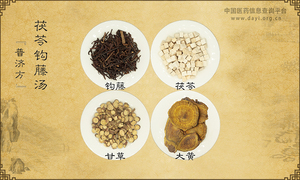 茯苓钩藤汤