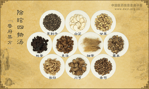 除眩四物汤《鲁府禁方》