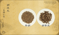 胡连丸