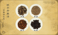 栀子升麻汤