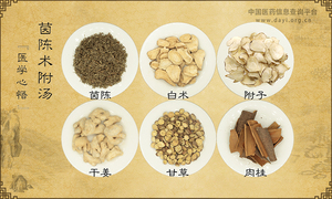 茵陈术附汤《医学心悟》