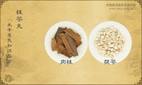 桂苓丸