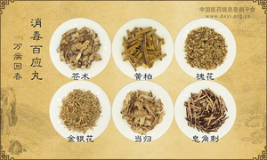消毒百应丸《万病回春》
