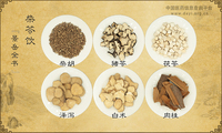柴苓饮《景岳全书》