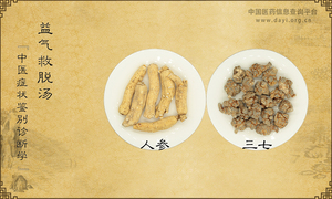 益气救脱汤《中医症状鉴别诊断学》