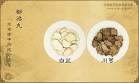 都梁丸《北京市中药成方选集》