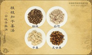 桂枝加干姜汤