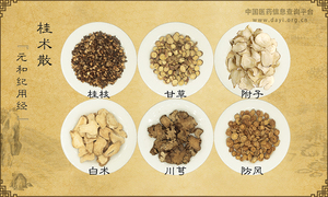 桂术散