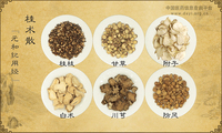 桂术散
