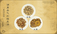 调胃承气加橘皮汤
