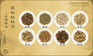 家秘桂枝汤