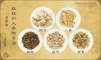 桂枝加人参附子汤