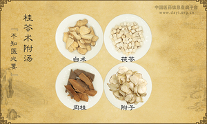 桂苓术附汤