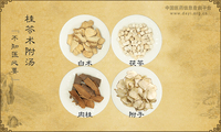 桂苓术附汤