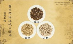 黄芪芍药桂枝苦酒汤
