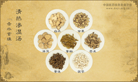清热渗湿汤