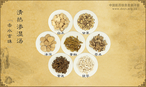 清热渗湿汤