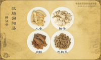 救腑回阳汤《辨证录》