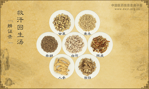 救汗回生汤《辨证录》