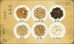 救喉汤《辨证录》