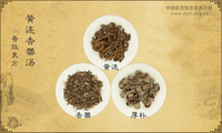 黄连香薷汤