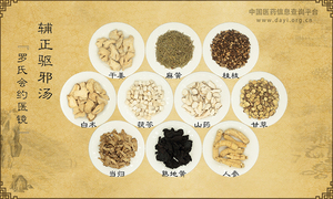 辅正驱邪汤