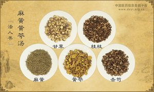 麻黄黄芩汤