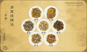 清胃理脾汤