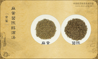 麻黄茵陈醇酒汤