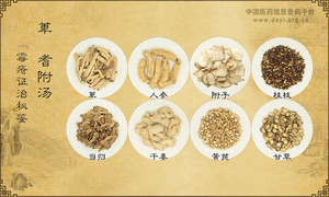 萆薢耆附汤