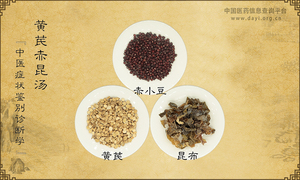 黄芪赤昆汤