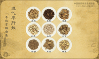 理气平肝散《赤水玄珠全集》