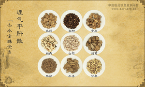 理气平肝散《赤水玄珠全集》