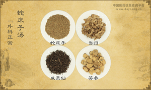 蛇床子汤《外科正宗》