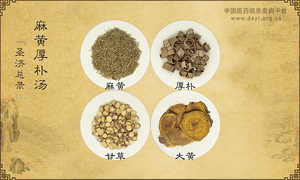 麻黄厚朴汤