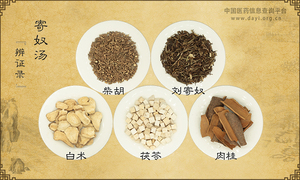 寄奴汤