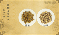 黄柏汤《圣济总录》卷一八一