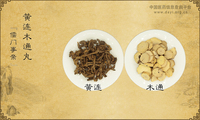 黄连木通丸