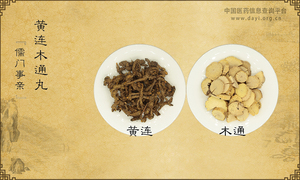 黄连木通丸