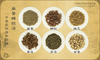 麻黄蝉蜕汤