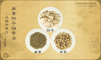 麻黄附子细辛汤