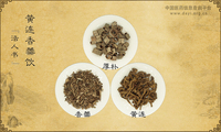 黄连香薷饮《活人书》