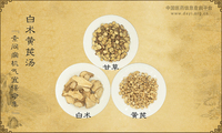 白术黄芪汤《素问病机气宜保命集》