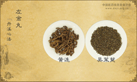 左金丸
