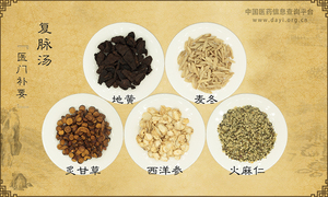 复脉汤