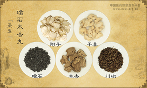 磁石木香丸